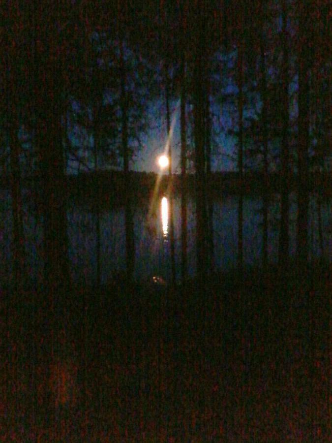 Villa Nina Luikonlahti Exteriér fotografie